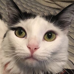 Meet your Posher, Evelyn